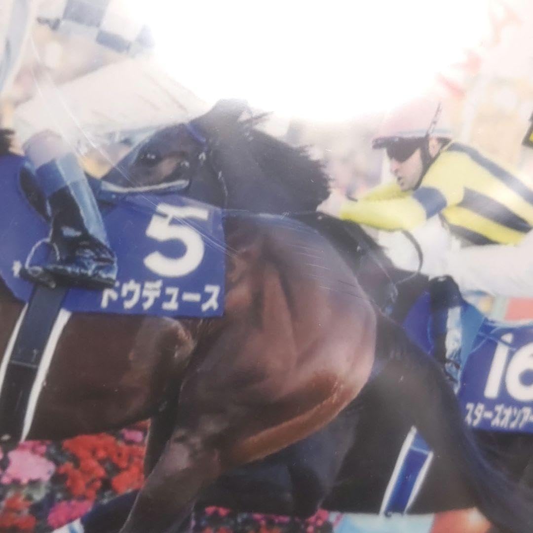 Amazon.co.jp: ドウデュース 有馬記念レース写真パネル デイリー